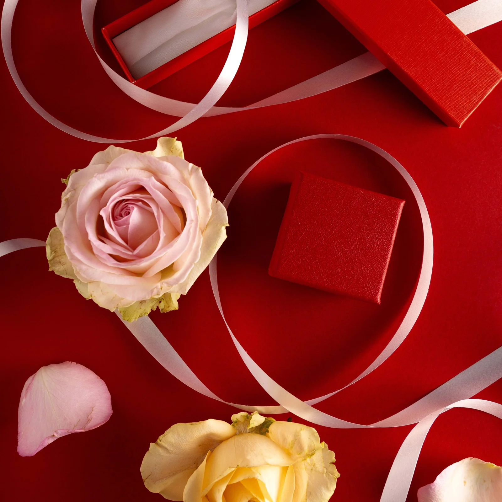 Rebecca R Accessories Valentines Campaign — project photograph 9