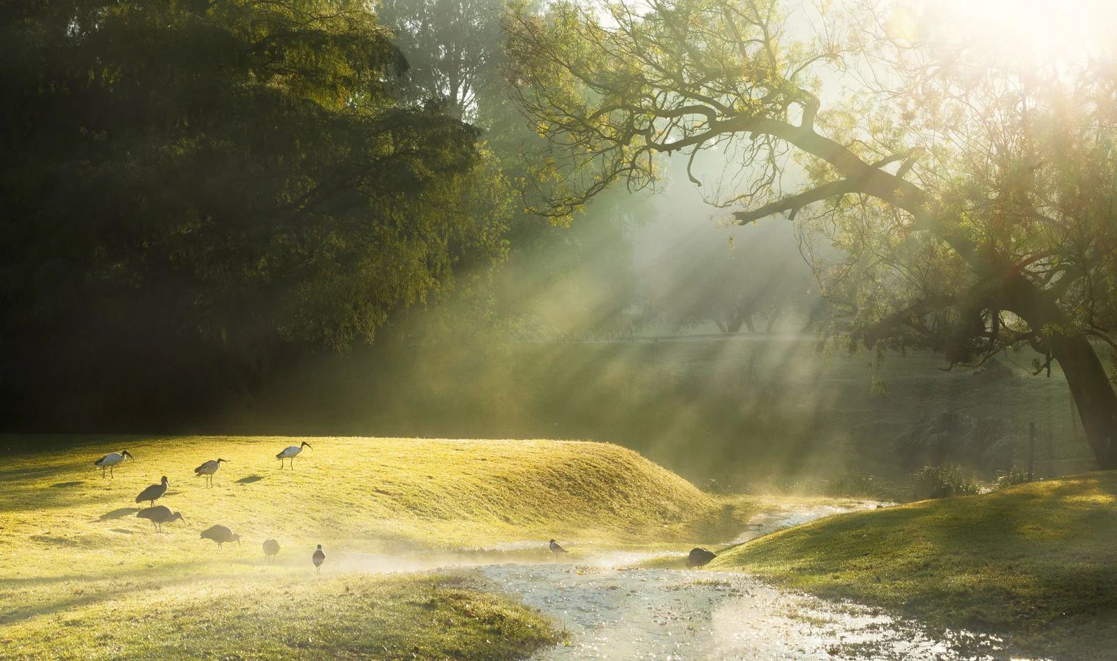 Landscape Photography Portfolio — project photograph 2