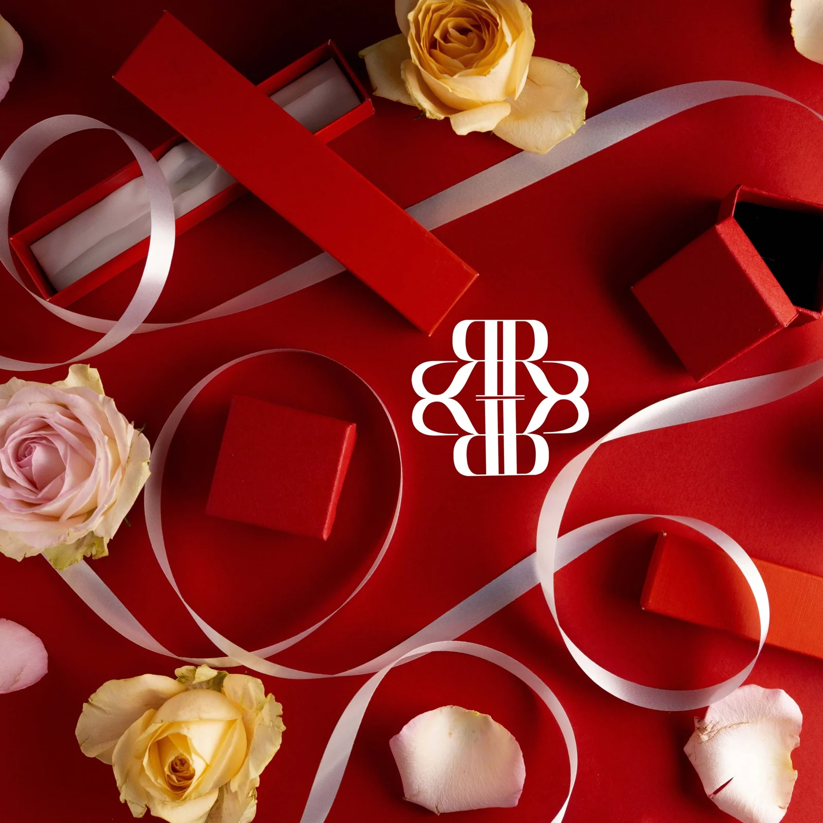 Rebecca R Accessories Valentines Campaign — project photograph 19