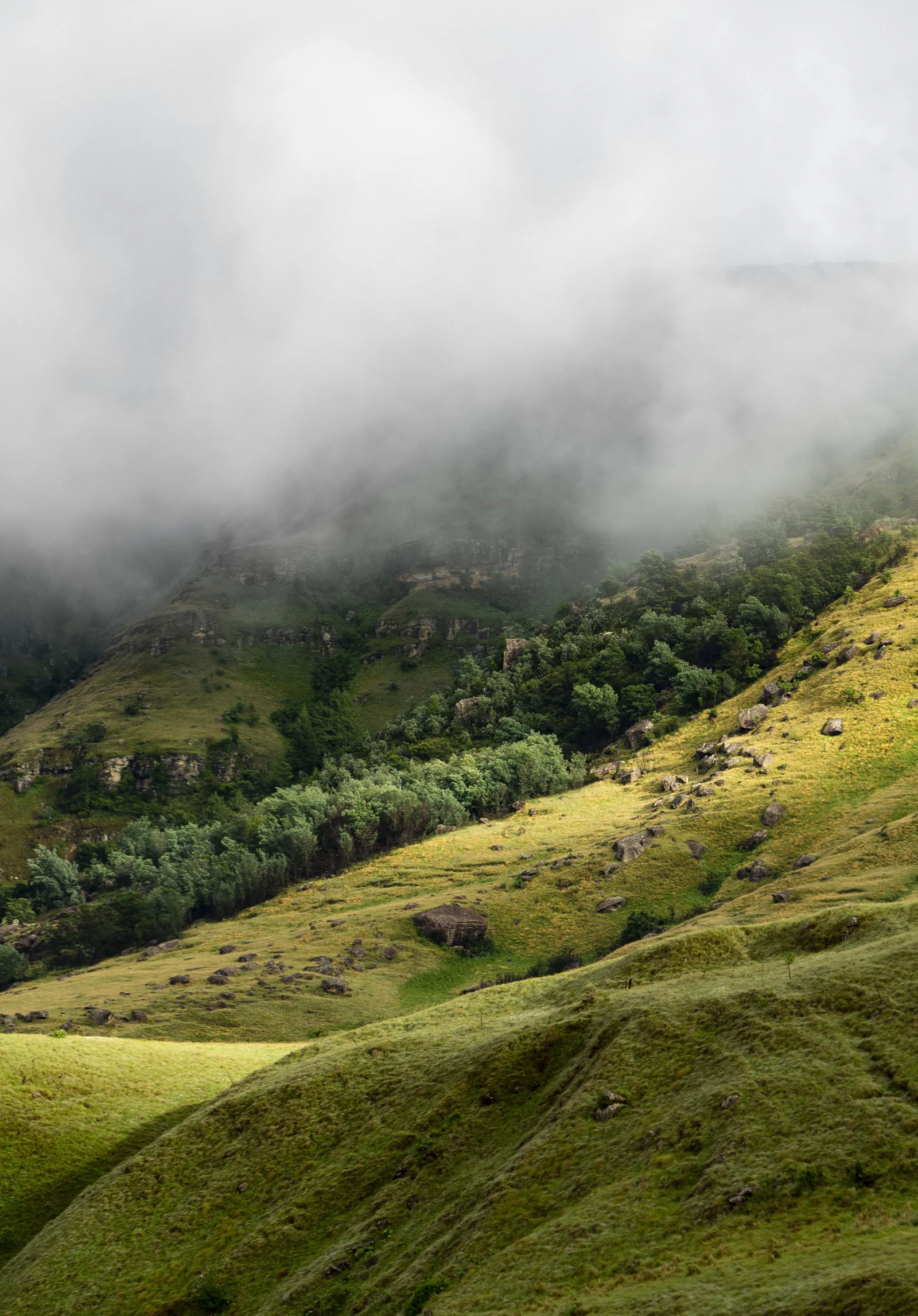 Landscape Photography Portfolio — project photograph 6