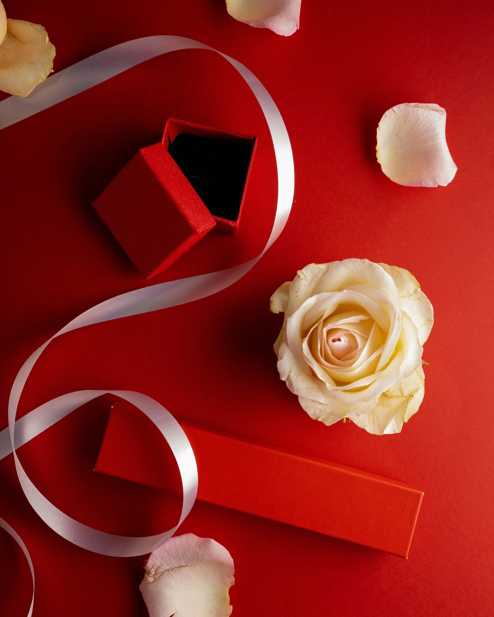 Rebecca R Accessories Valentines Campaign — project photograph 10