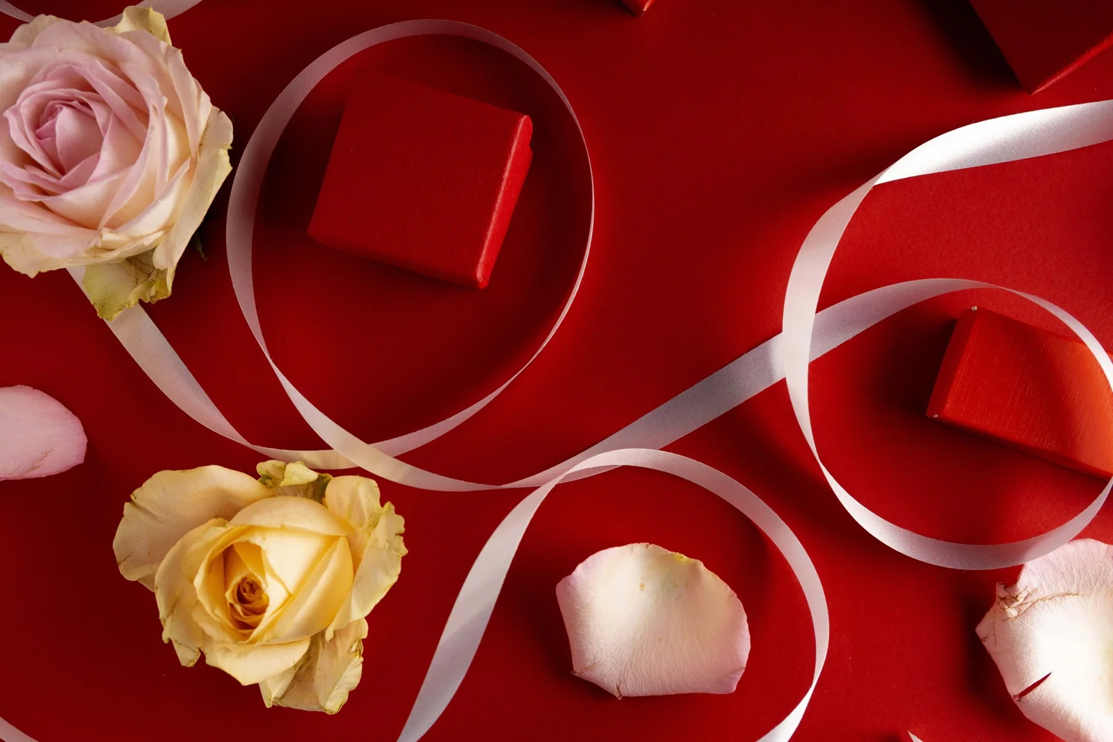 Rebecca R Accessories Valentines Campaign — project photograph 11