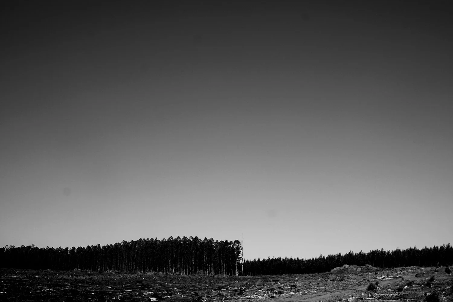 Landscape Photography Portfolio — project photograph 19