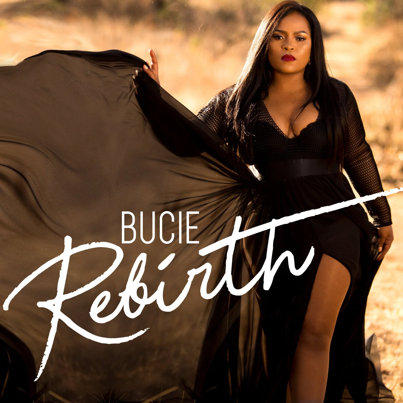 Bucie Rebirth — design artwork 2