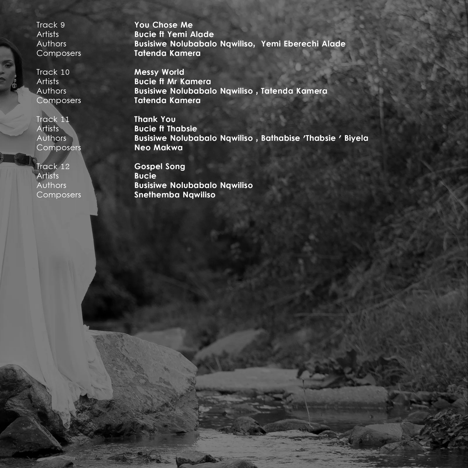 Bucie Rebirth — design artwork 6