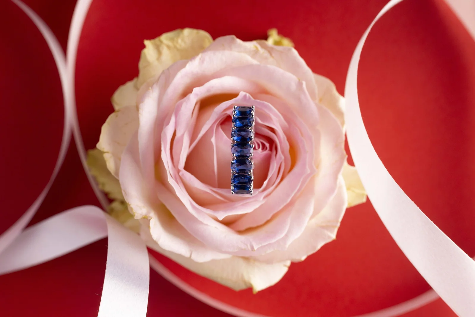 Rebecca R Accessories Valentines Campaign — project photograph 12