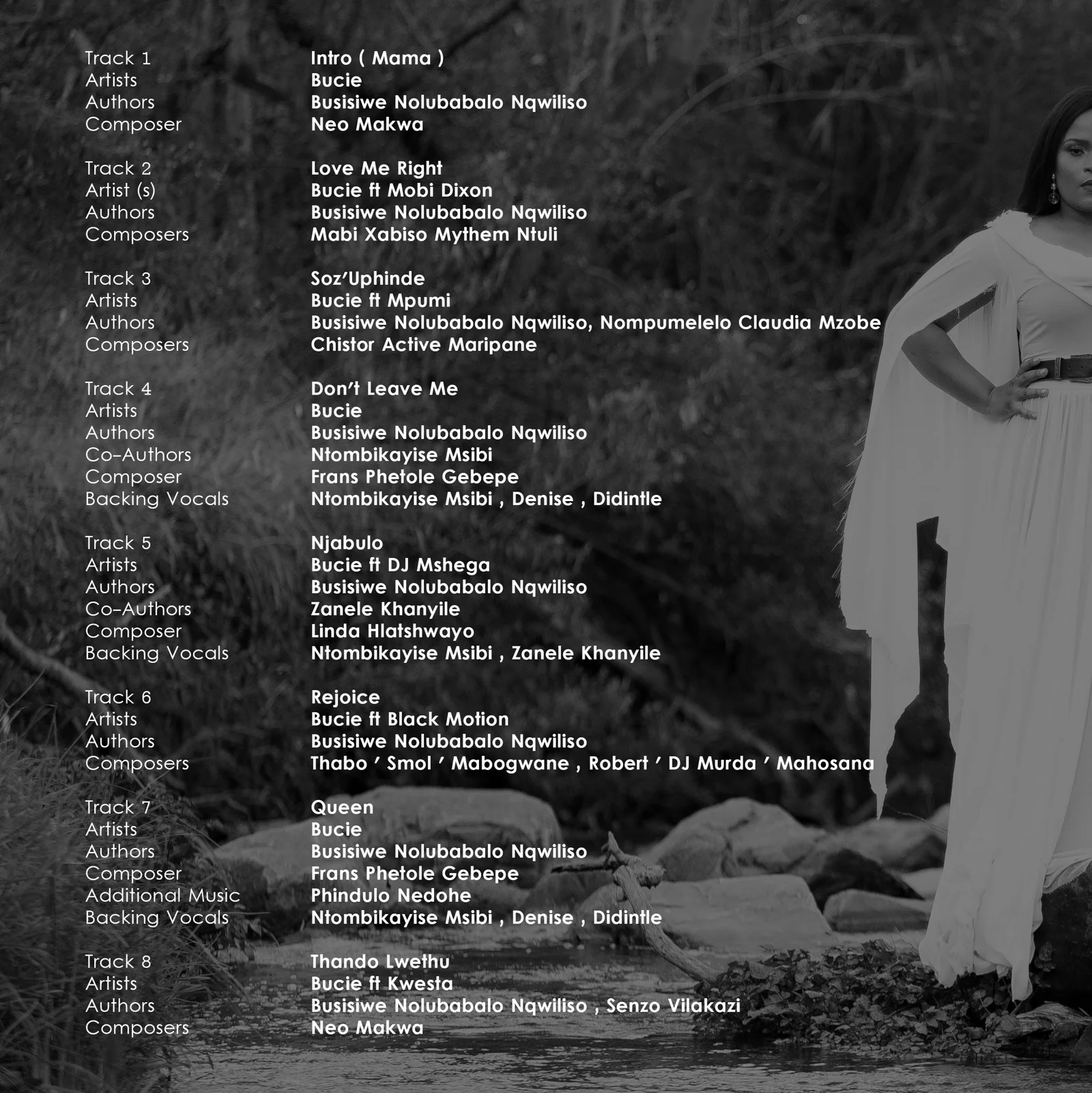 Bucie Rebirth — design artwork 5