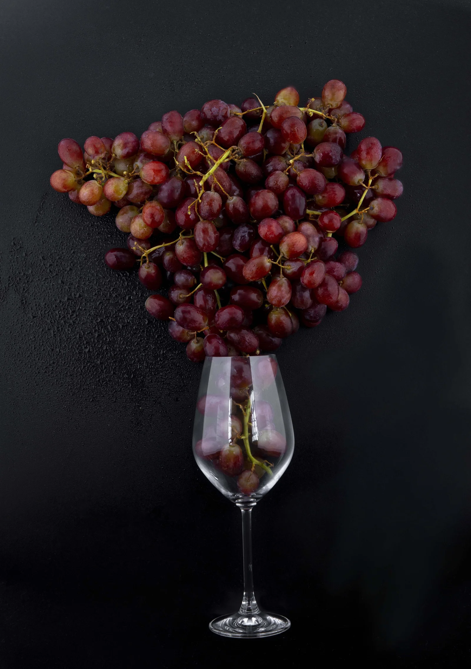 Yame Wine — project photograph 25