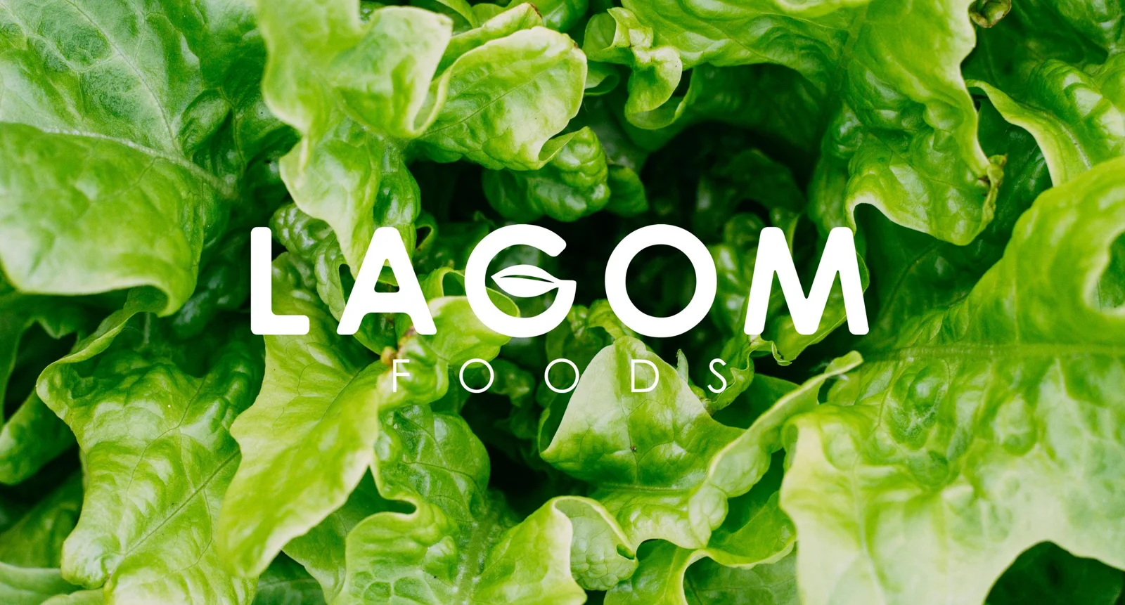 Lagom Foods — design artwork 4
