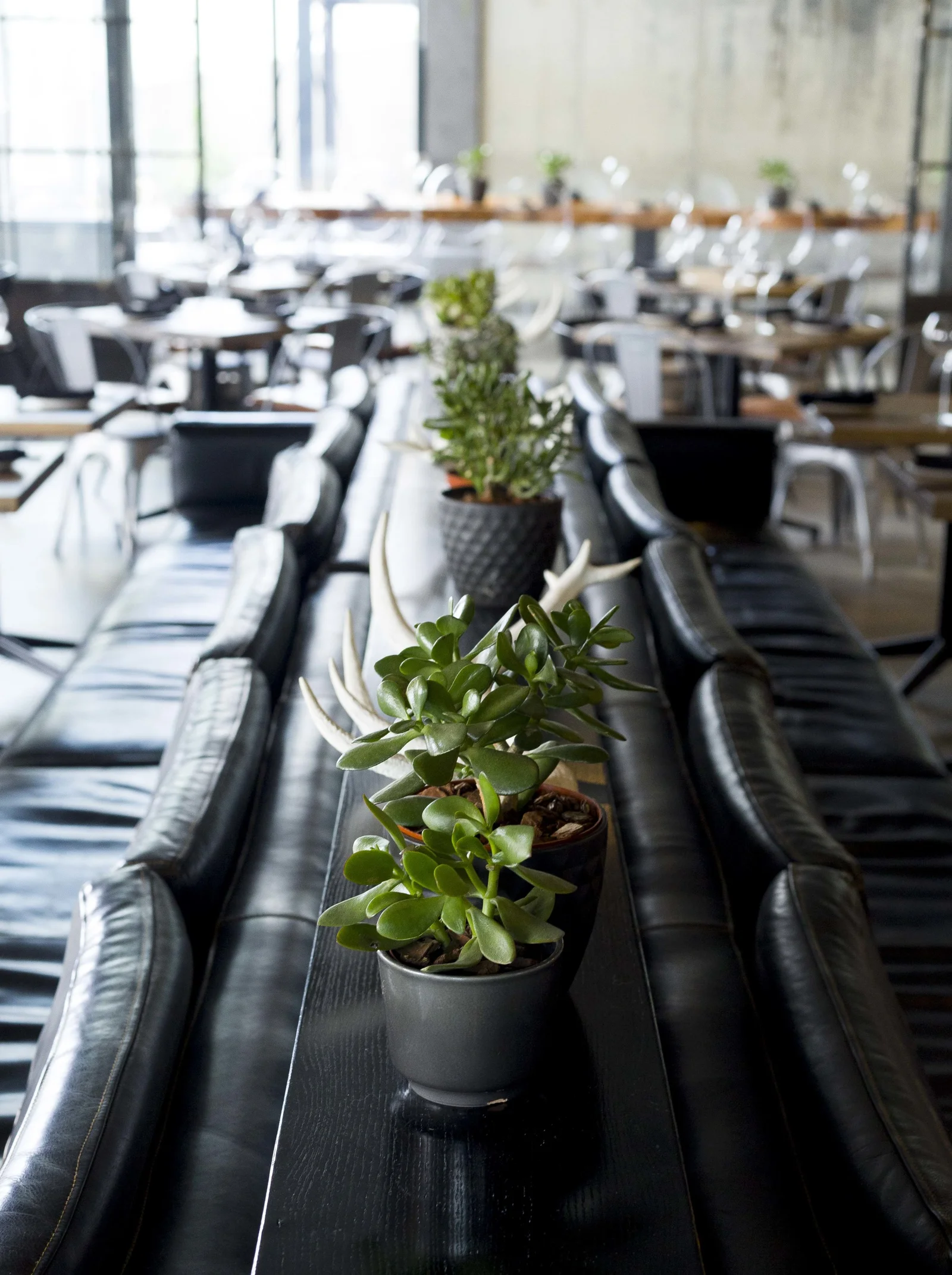 Interiors & Lanscapes — project photograph 54