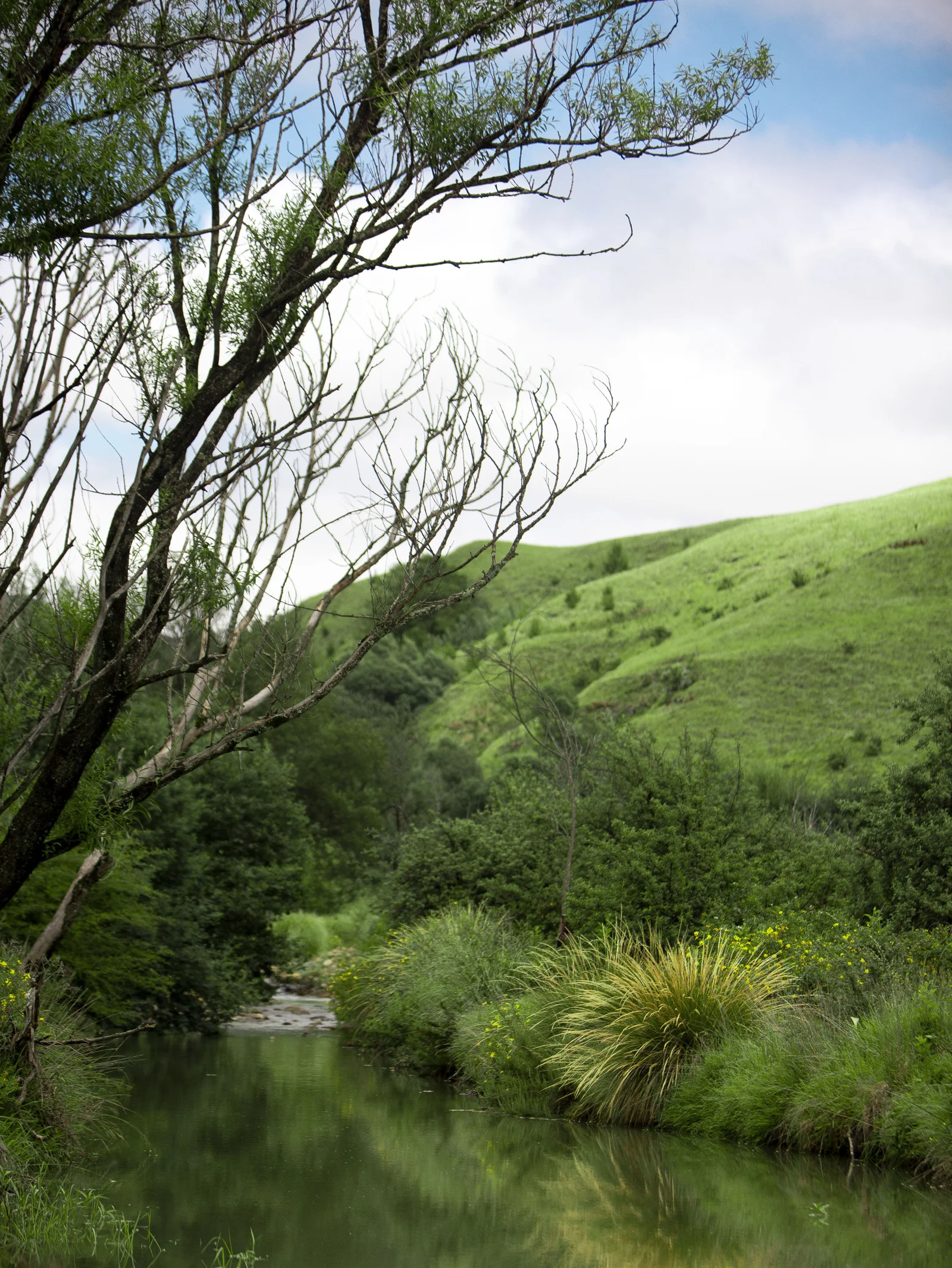 Landscape Photography Portfolio — project photograph 7