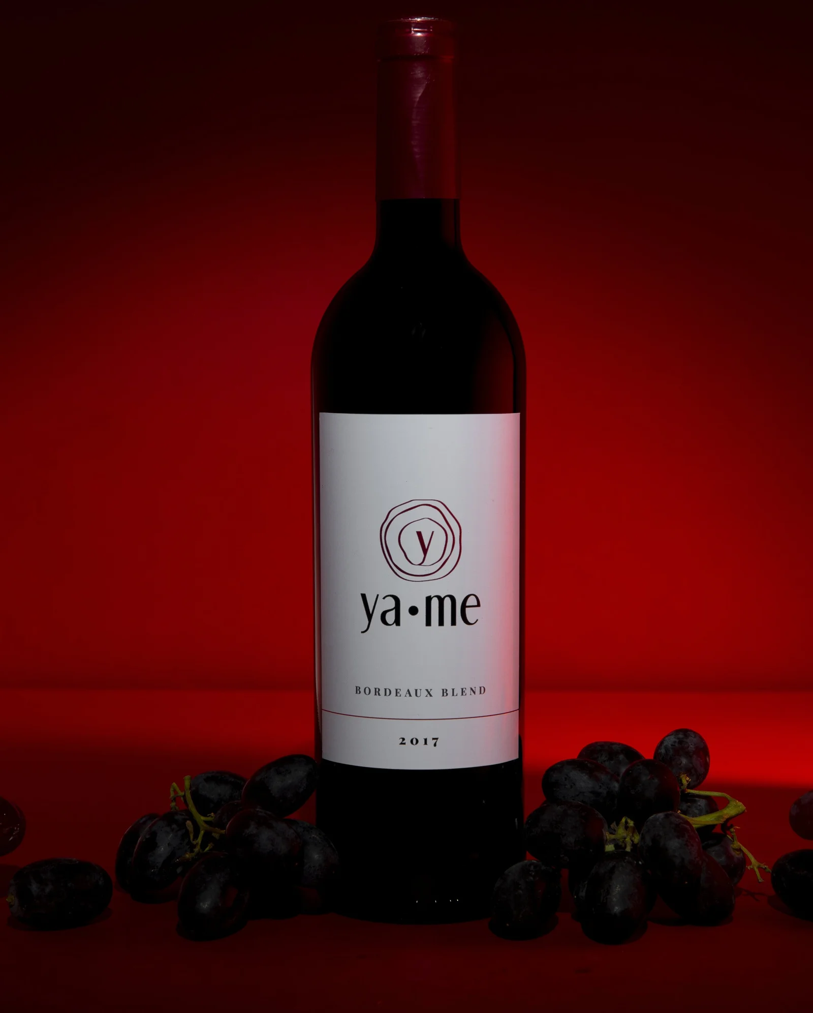 Product Photography Portfolio — project photograph 59