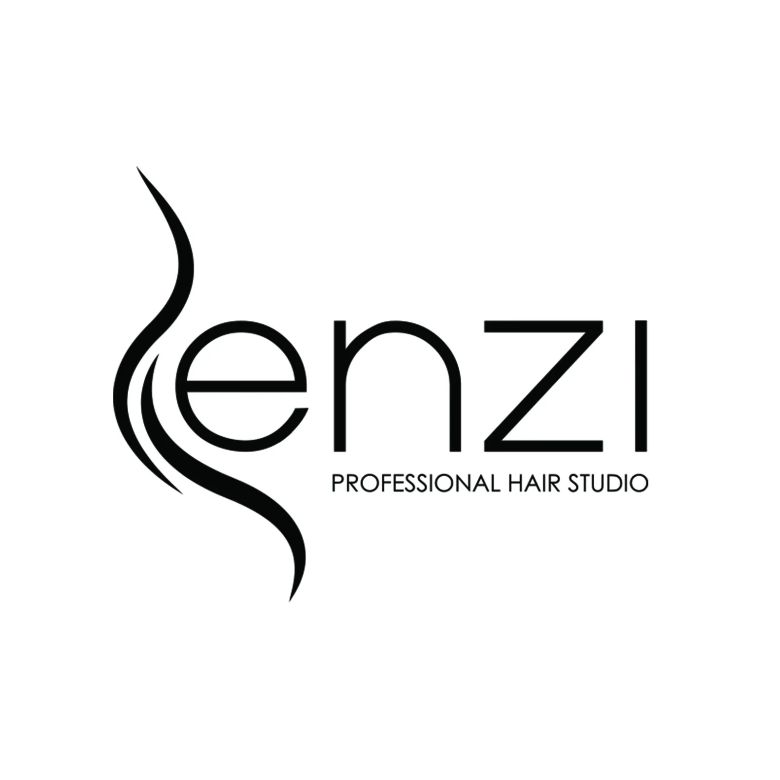 Enzi Professional Hair Studio Logo Design and Logo Development