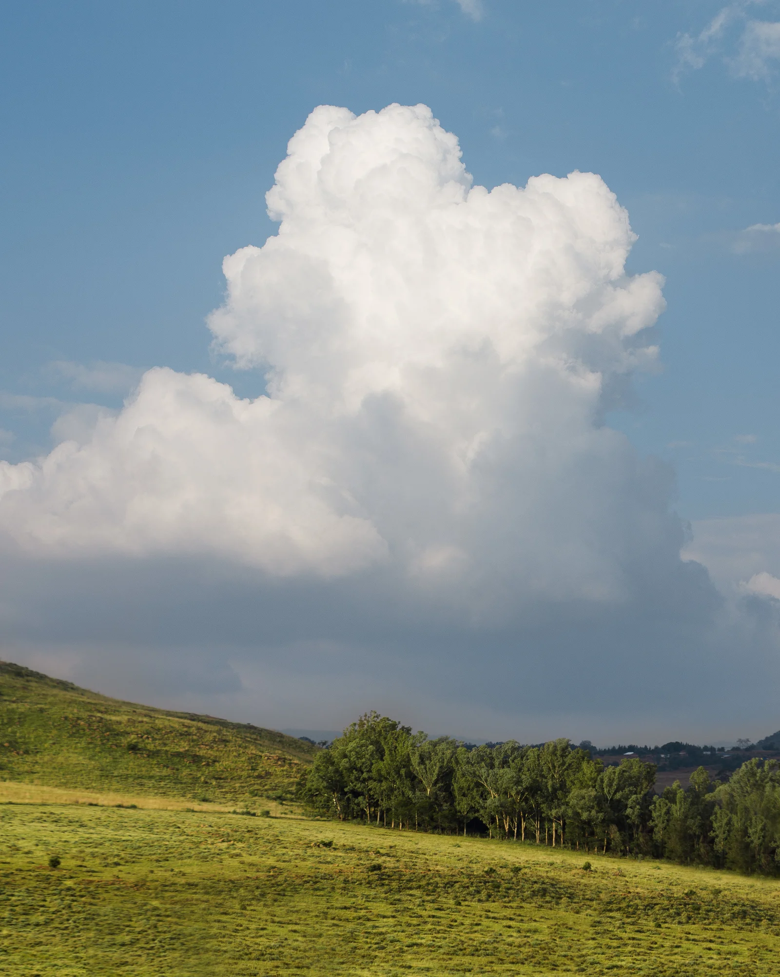 Landscape Photography Portfolio — project photograph 8