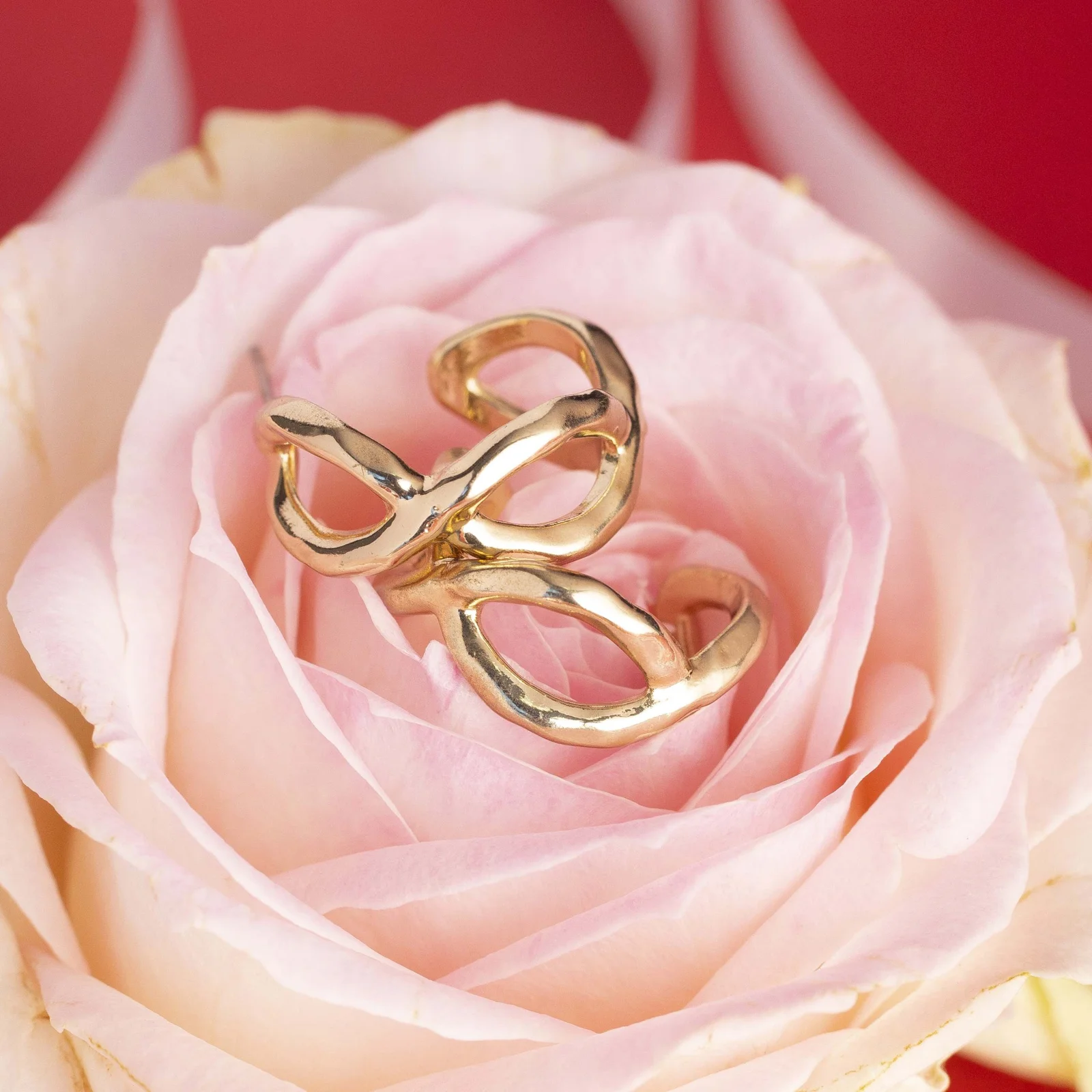 Rebecca R Accessories Valentines Campaign — project photograph 18